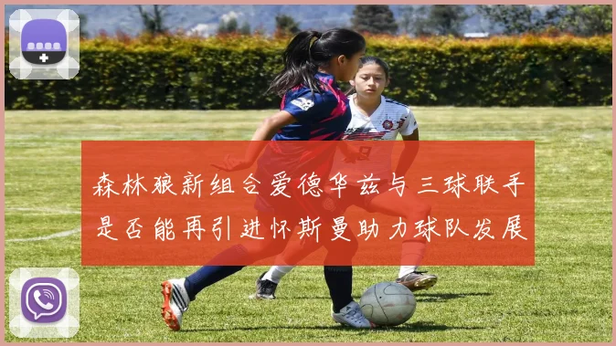 森林狼新组合爱德华兹与三球联手是否能再引进怀斯曼助力球队发展